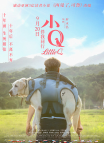1080HD高清在线观看
