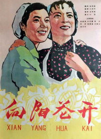 BD国语高清完整版