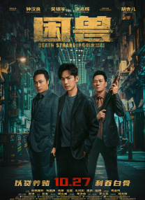 完结高清影视